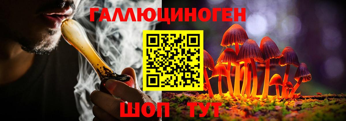 Галлюциногенные грибы прущие грибы Сорочинск