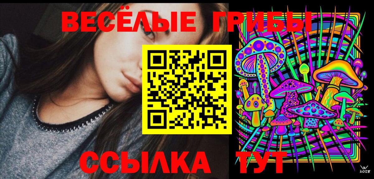 Галлюциногенные грибы прущие грибы  Псилоцибиновые грибы мухоморы  Сорочинск  как найти закладки  Вход с VPN 